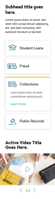 TransUnion Disputes Spotlight Mobile 2