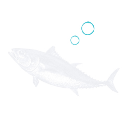 OB Spotlight Circle Fish