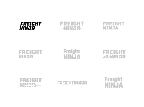 FN Spotlight Type